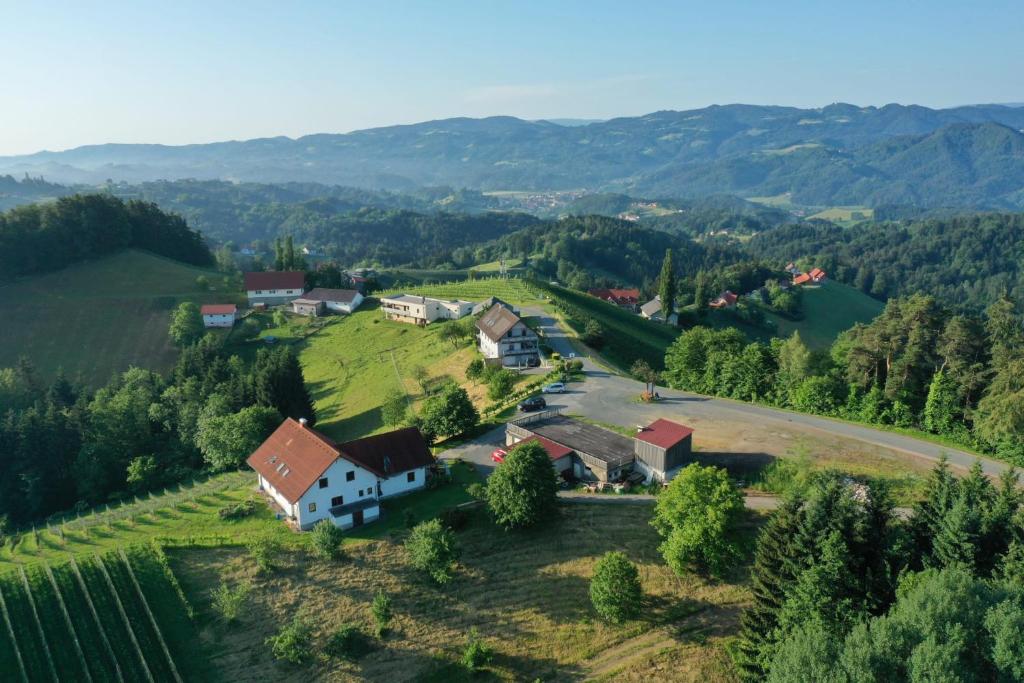 eine Luftansicht eines kleinen Dorfes auf einem Hügel in der Unterkunft Trautenburg Stub`n in Leutschach