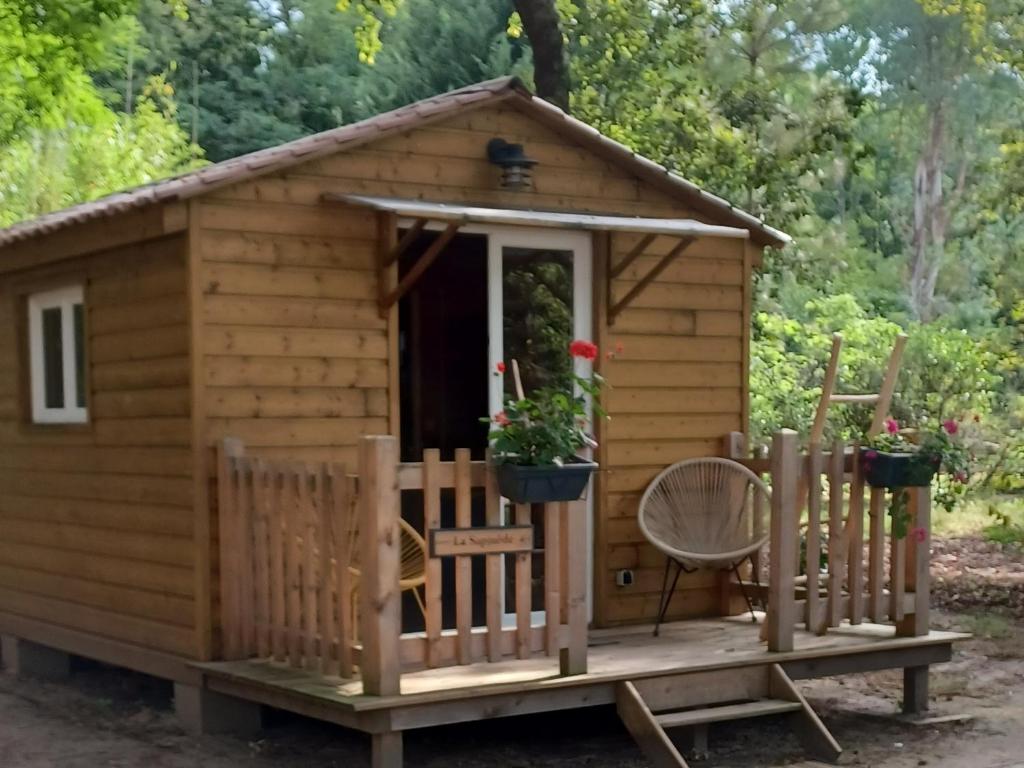 a wooden cabin with a porch and a cat in it at LA SAPINEDE in Saint-Vincent-de-Paul