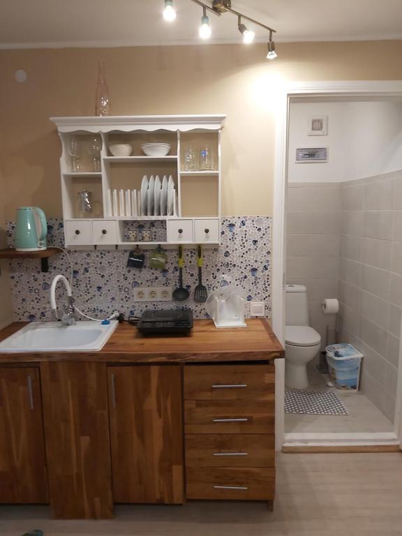 Bērzlejas2 - One-Bedroom House