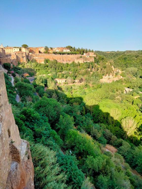 an aerial view of a hill with trees and buildings at vista sulla vallata in Pitigliano