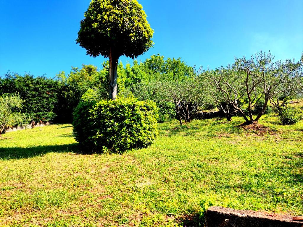 Apartman Pelcic,with WiFi and free parking - Apartment - Ground Floor