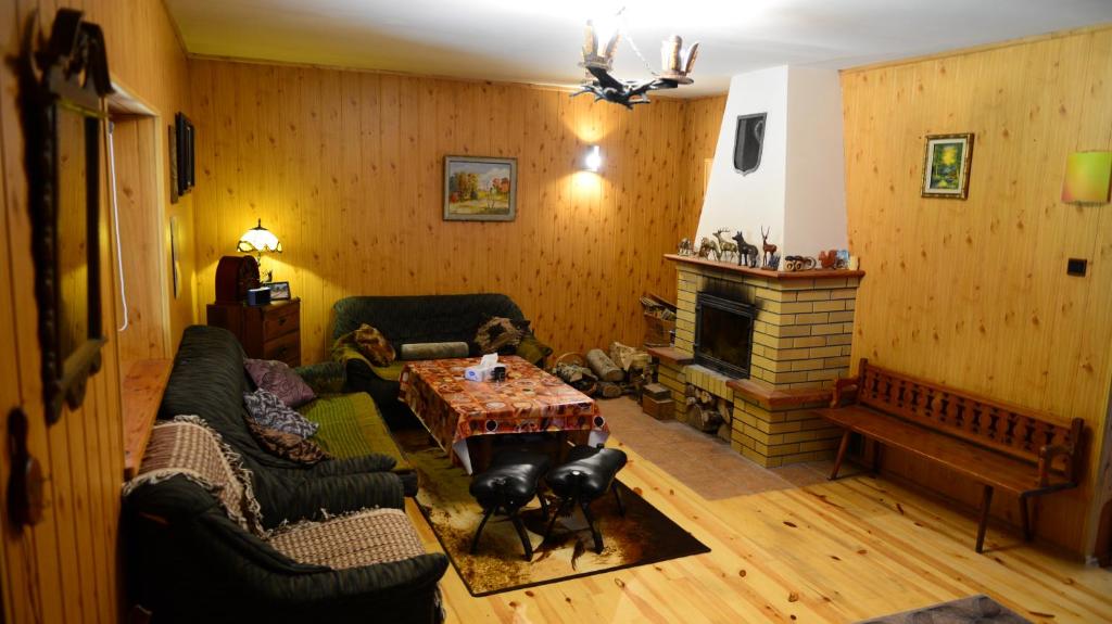 a living room with a couch and a fireplace at Kruszyniany 41 in Kruszyniany