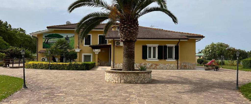a palm tree in front of a yellow house at Villa Pedrosu in Casa Linari