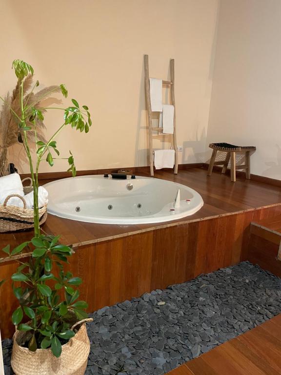 uma banheira sentada num quarto com uma planta em Aldea Couso Rural em Sarreaus