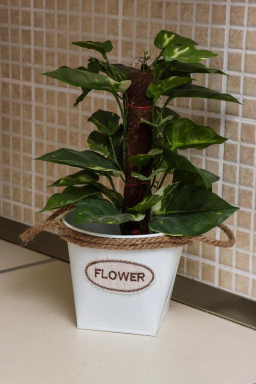 Apartments Nina - 14