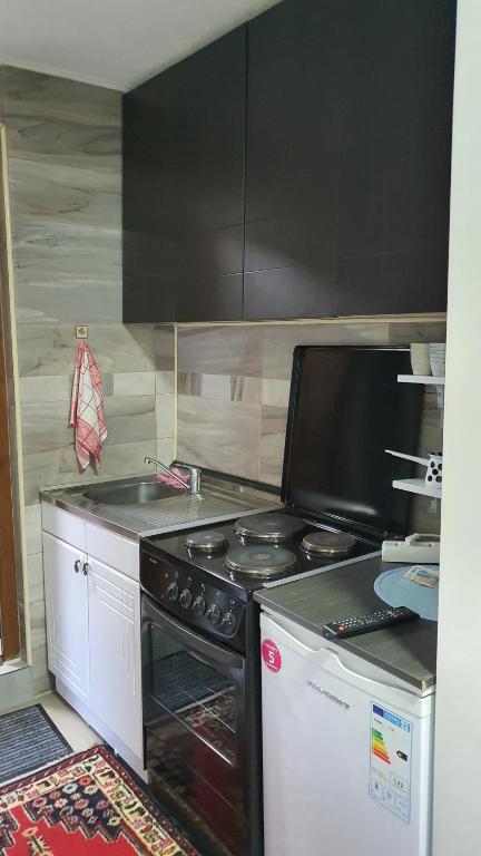 Kuchyň nebo kuchyňský kout v ubytování Apartmani Odmor i Mir