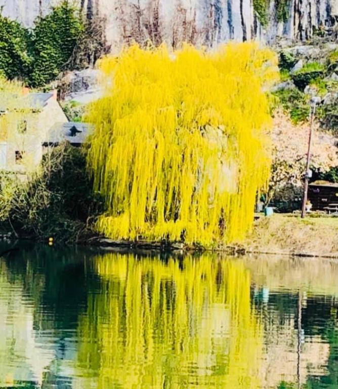 Paesaggio naturale nelle vicinanze del bed & breakfast