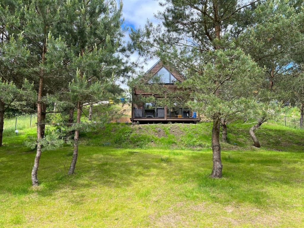 Stara Sikorska Huta的住宿－Cosy Cabin - domek na Kaszubach z sauną, balią i basenem，一座树木繁茂的院子中的房子