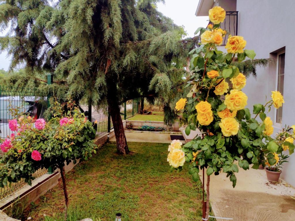 a bunch of flowers in a yard with a tree at Guest house near Varna in Varna City