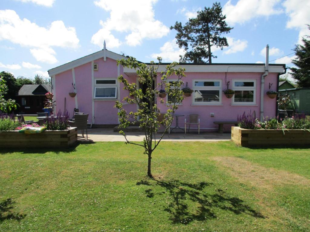 a small tree in front of a pink house at Hillview Bed and Breakfast in Whitstable