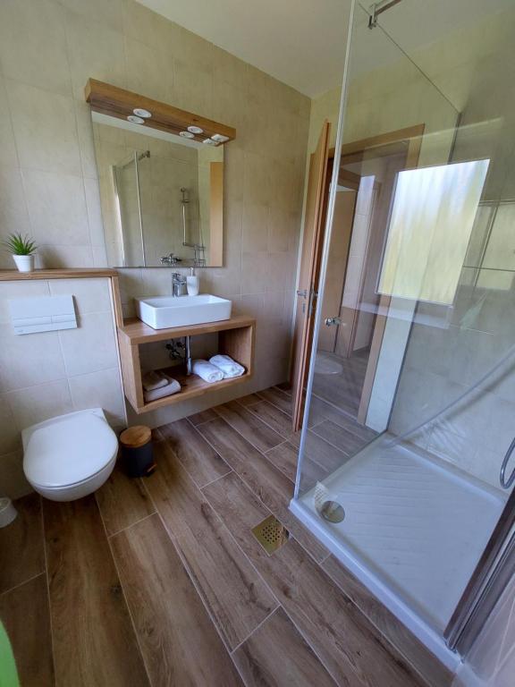 a bathroom with a shower and a toilet and a sink at Apartma Mango in Bled