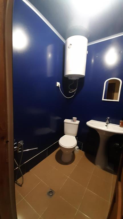 Koupelna v ubytování Guesthouse SVANURI SAKHLI