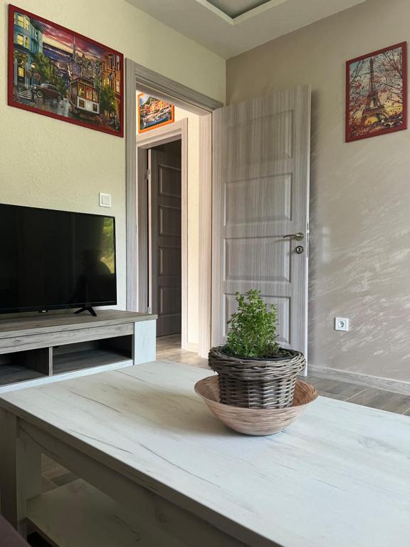 ein Wohnzimmer mit einem TV und einer Topfpflanze auf dem Tisch in der Unterkunft Apartmani Rezevici in Budva