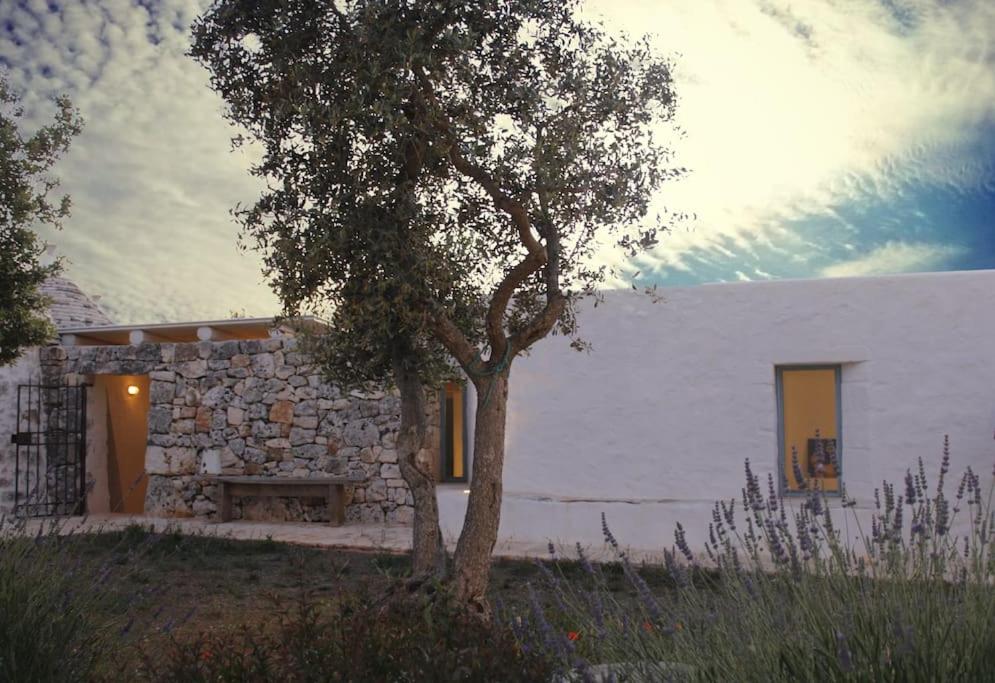 The building in which the holiday home is located
