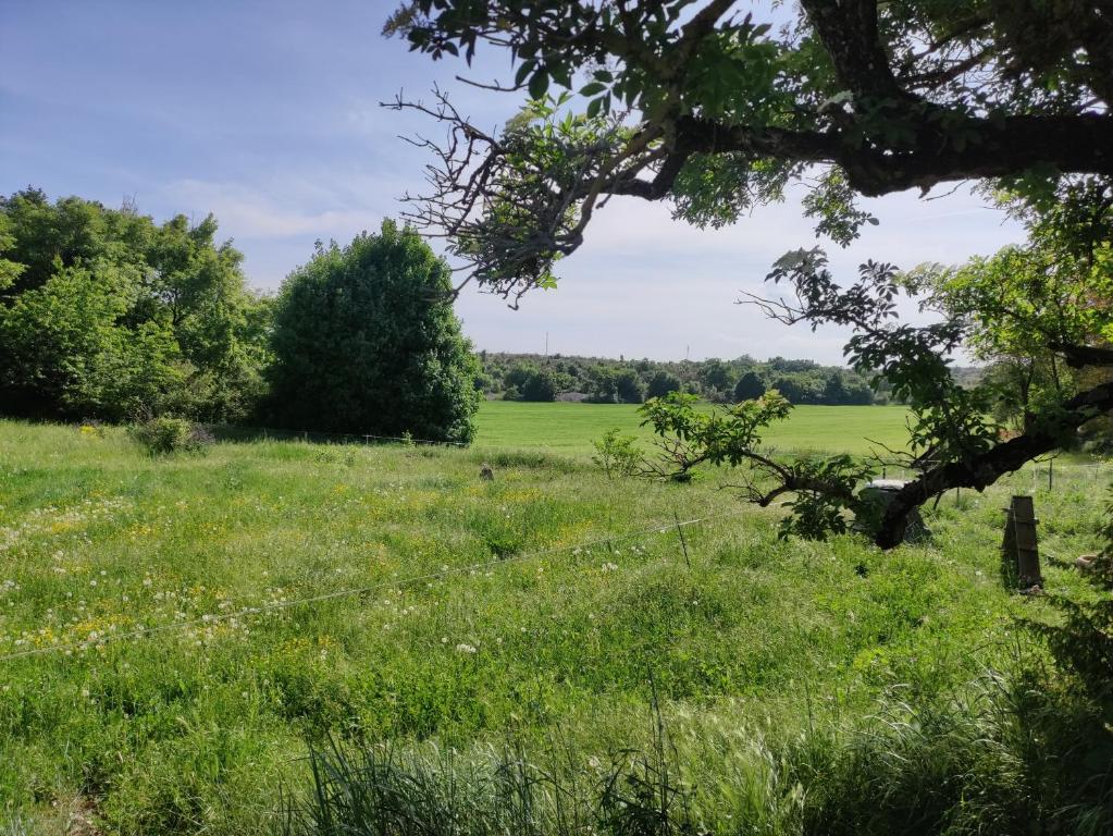 Paesaggio naturale nelle vicinanze dell'ostello