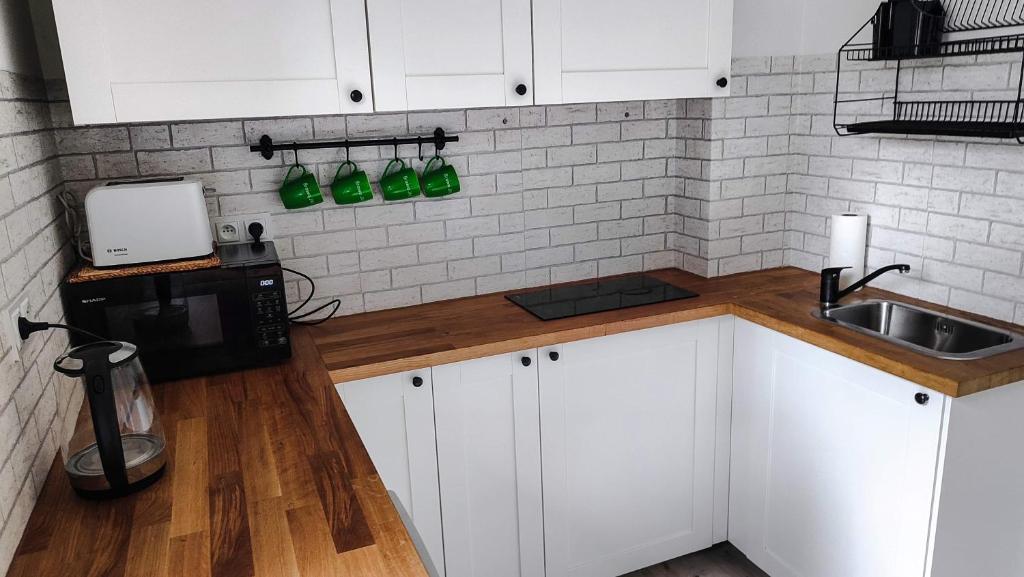 Kuchyň nebo kuchyňský kout v ubytování Apartament Polaniczanka