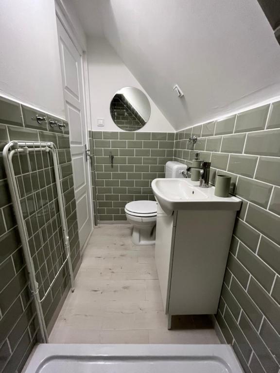 łazienka z toaletą, umywalką i prysznicem w obiekcie Helló Zsóry Apartman w Mezőkövesd