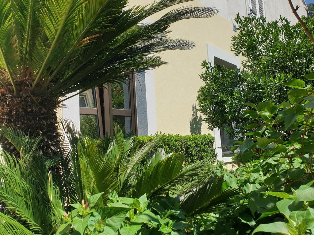 Um jardim no exterior de Kotor Center W