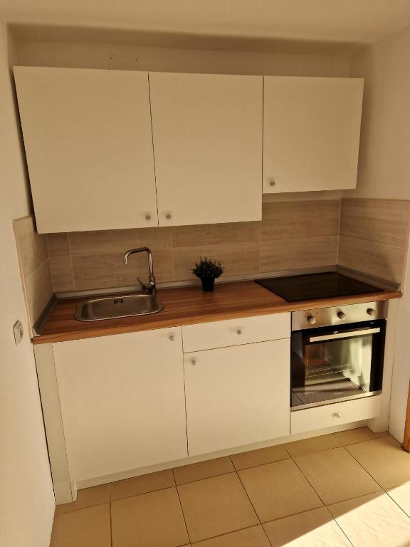Kuchyň nebo kuchyňský kout v ubytování Apartment Misic