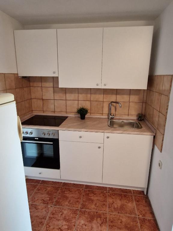 Kuchyň nebo kuchyňský kout v ubytování Apartment Misic