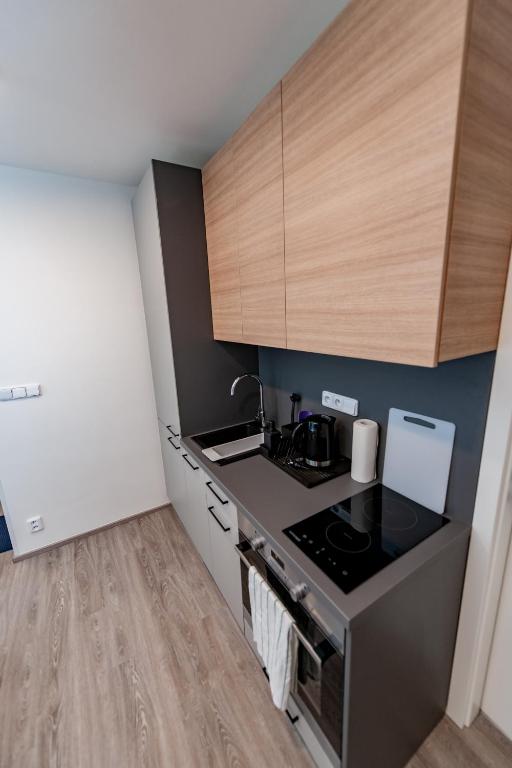 Kuchyň nebo kuchyňský kout v ubytování Apartments 4u: KAMPUS Upstairs Hradec Králové