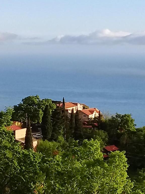 a house on a hill next to the water at Apartment Stanisic in Budva