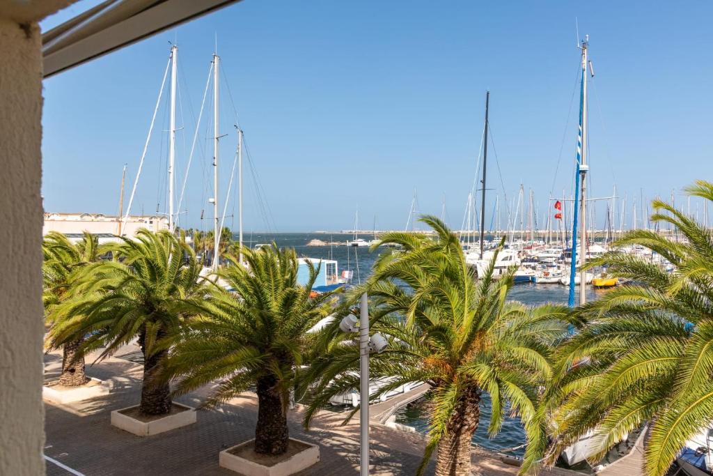 un gruppo di palme in un porto turistico con barche di Studio cabine Viktoria a Gruissan
