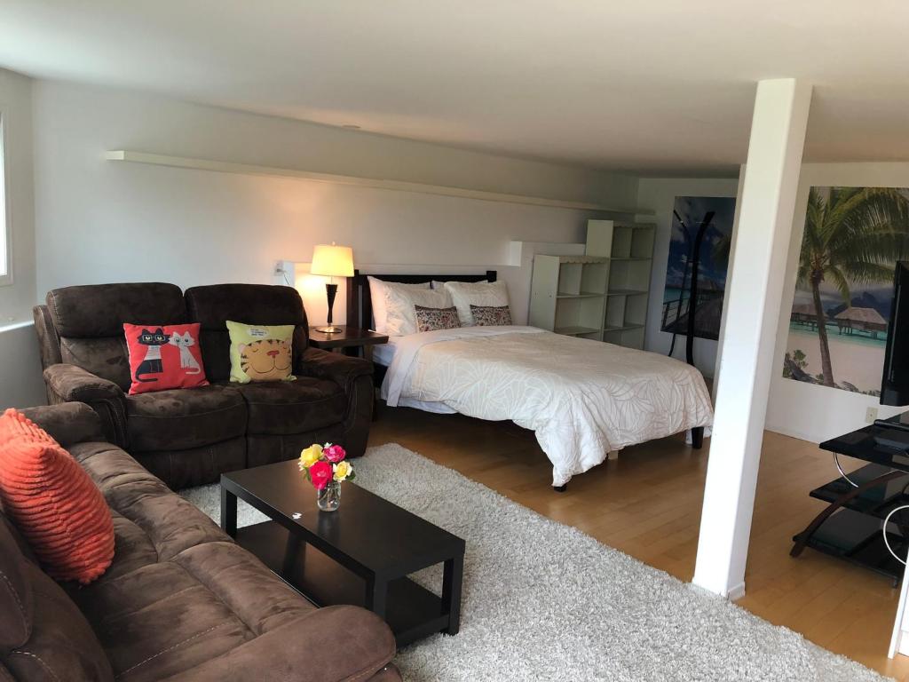 a living room with a couch and a bed at one bedroom suite near Hillside mall in Victoria
