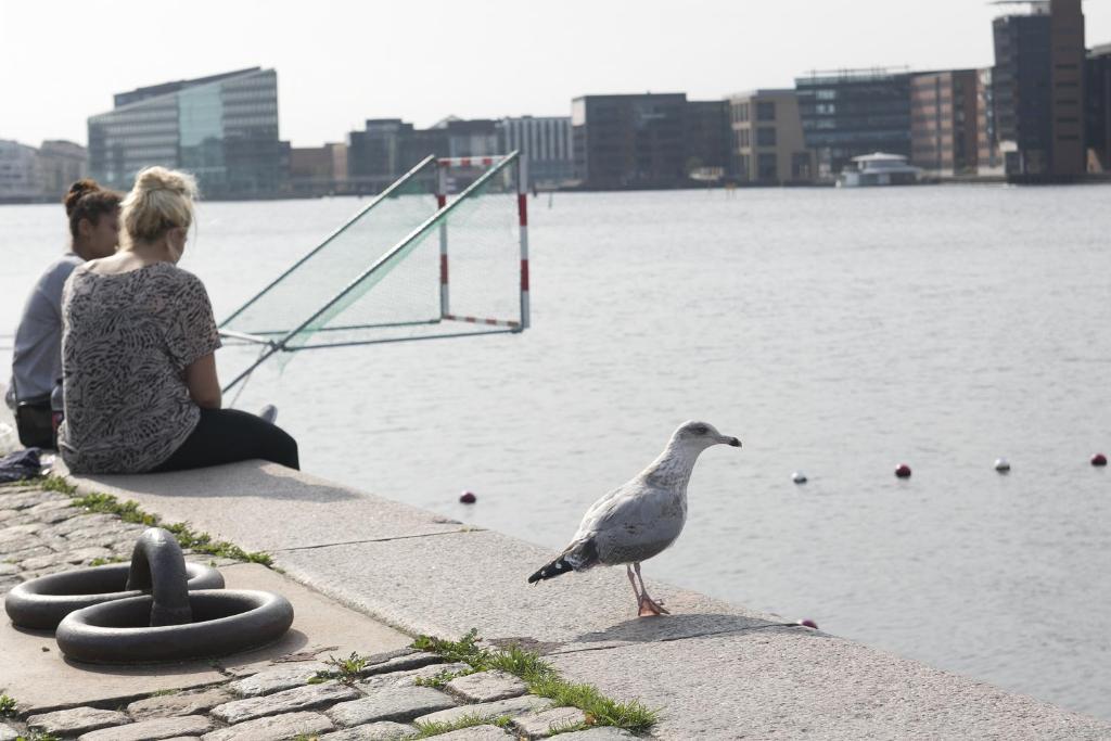 Hotel Copenhagen - Resim 18