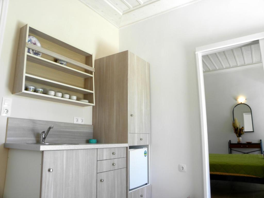 Kuchyň nebo kuchyňský kout v ubytování Galaxy Hotel
