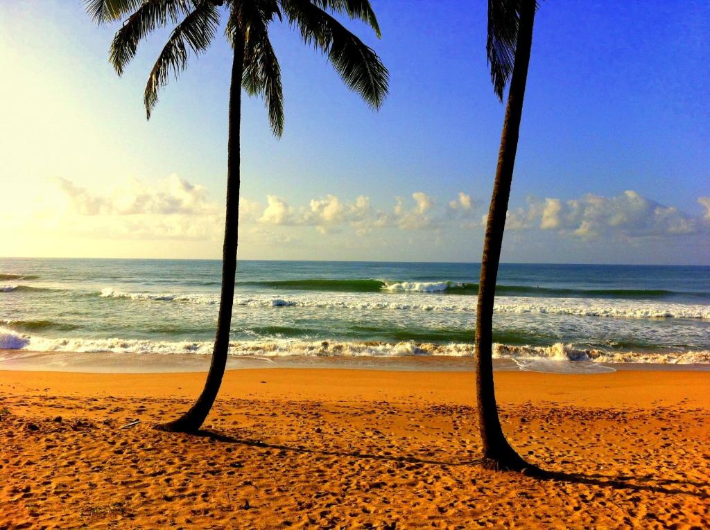  Bahia Surf Camp