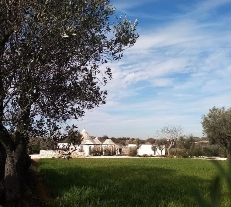A garden outside Trullo Margherita