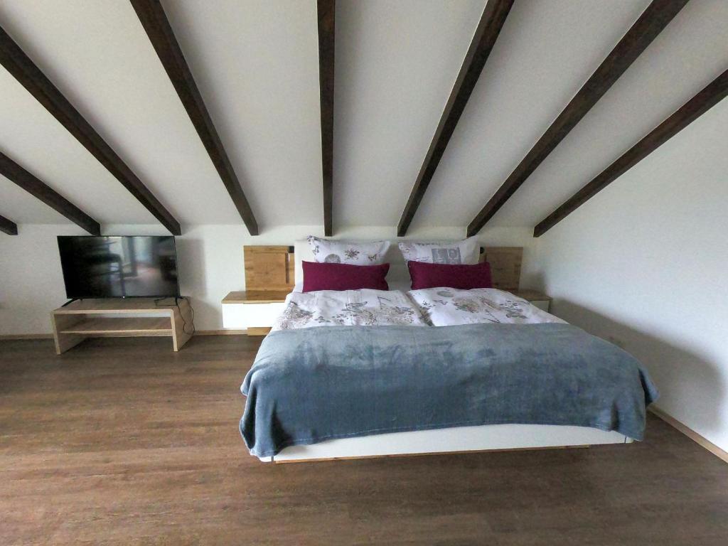 a bedroom with a bed and a flat screen tv at Apartment Bodenseesonne in Immenstaad am Bodensee
