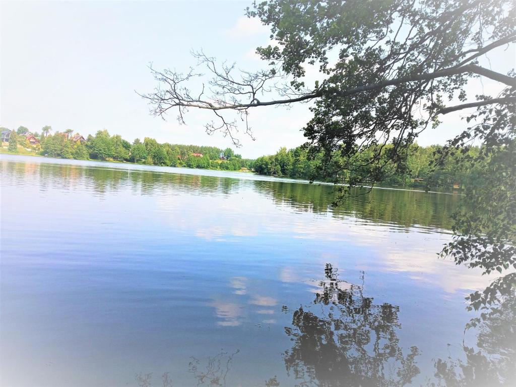 Fotografia z galérie ubytovania Kaszuby, dom nad jeziorem v destinácii Kamień