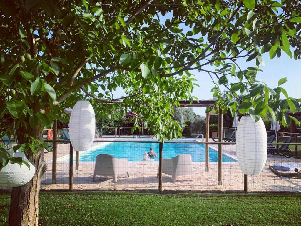 una piscina in un resort con sedie bianche e un albero di Agriturismo Il Puntoncino a Marsiliana