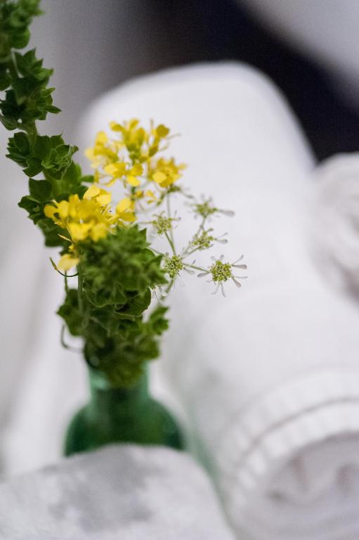 Perivoli Country Hotel & Retreat - 9