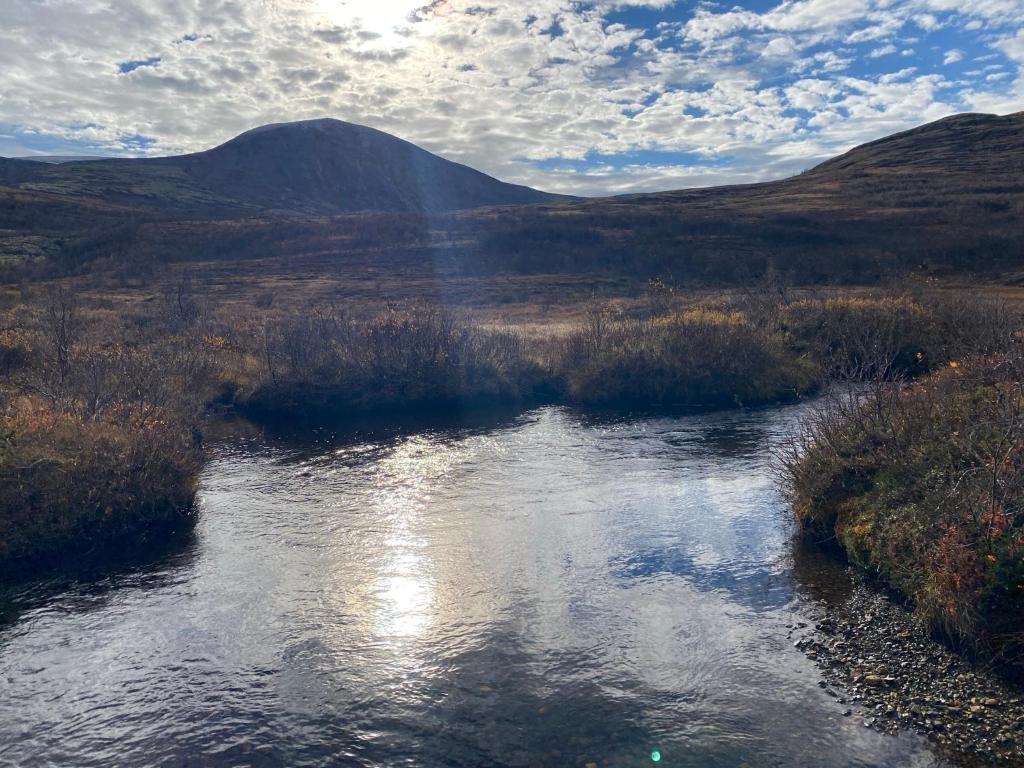 a river in a field with a mountain in the background at Hestdalssetra in Dovre