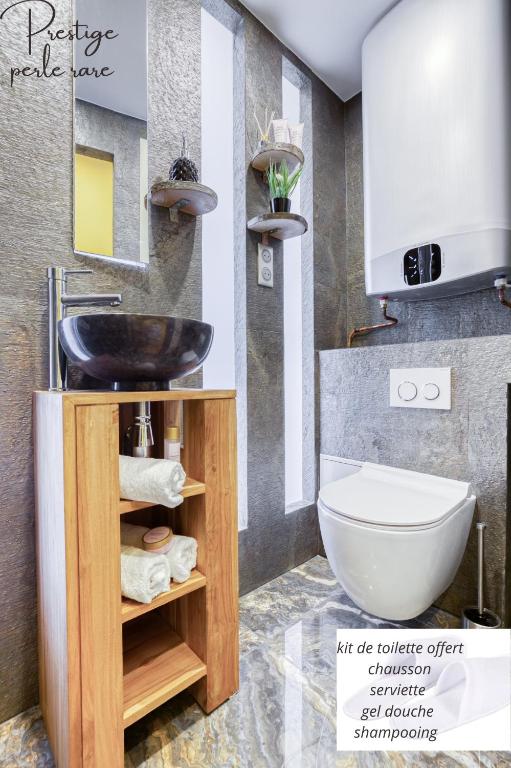 une salle de bain avec un lavabo et des toilettes dans l'établissement escalade romantique 5 min de Paris, à Ivry-sur-Seine