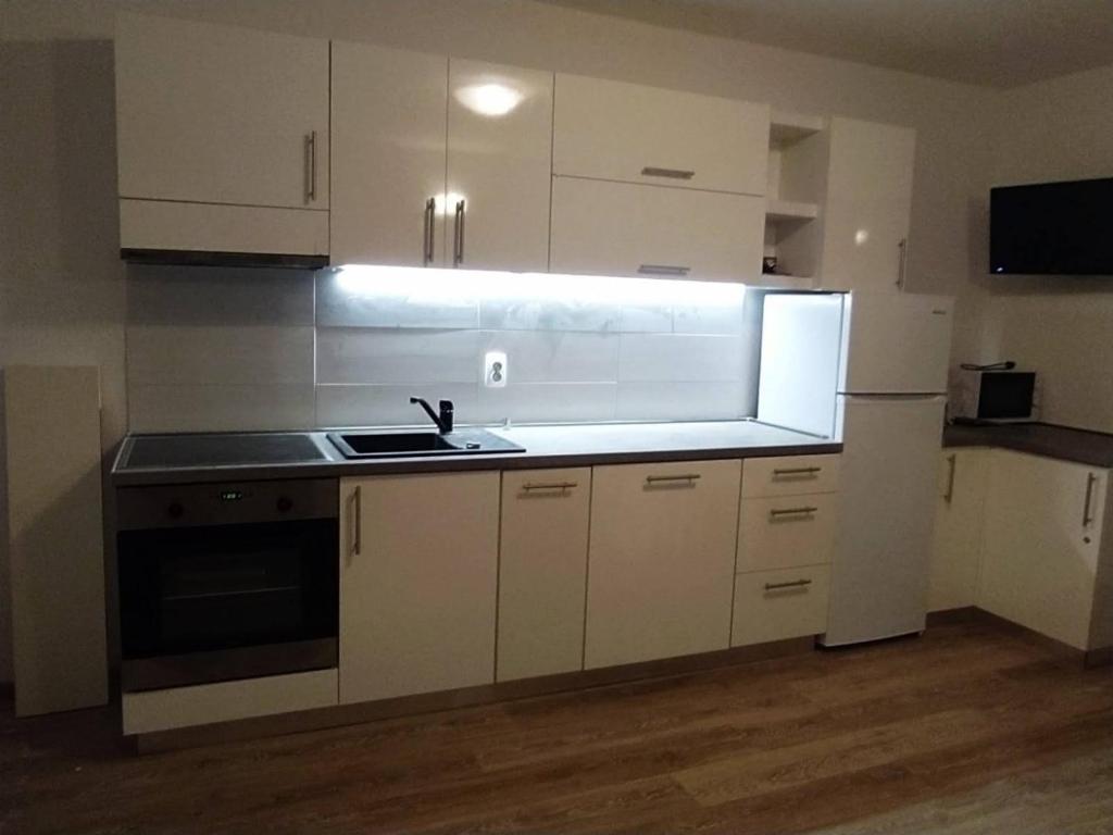 Kuchyň nebo kuchyňský kout v ubytování Apartments Ljerka