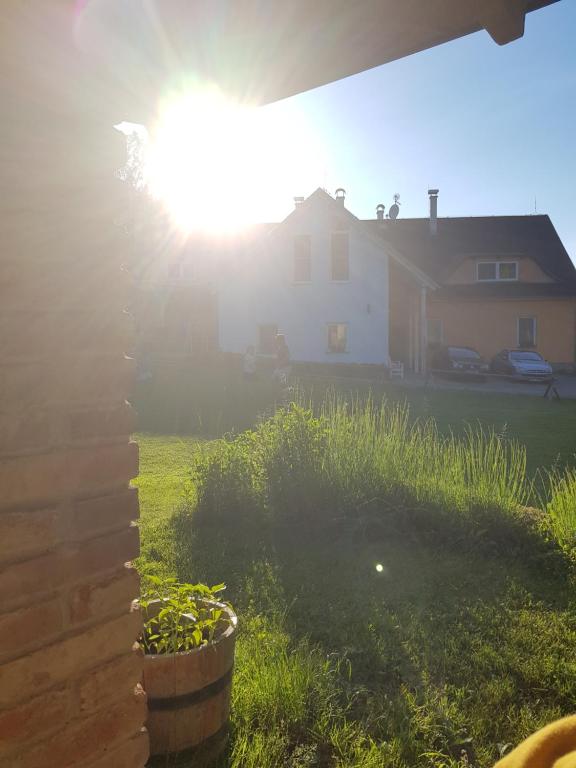 Zahrada ubytování Apartments Cederika