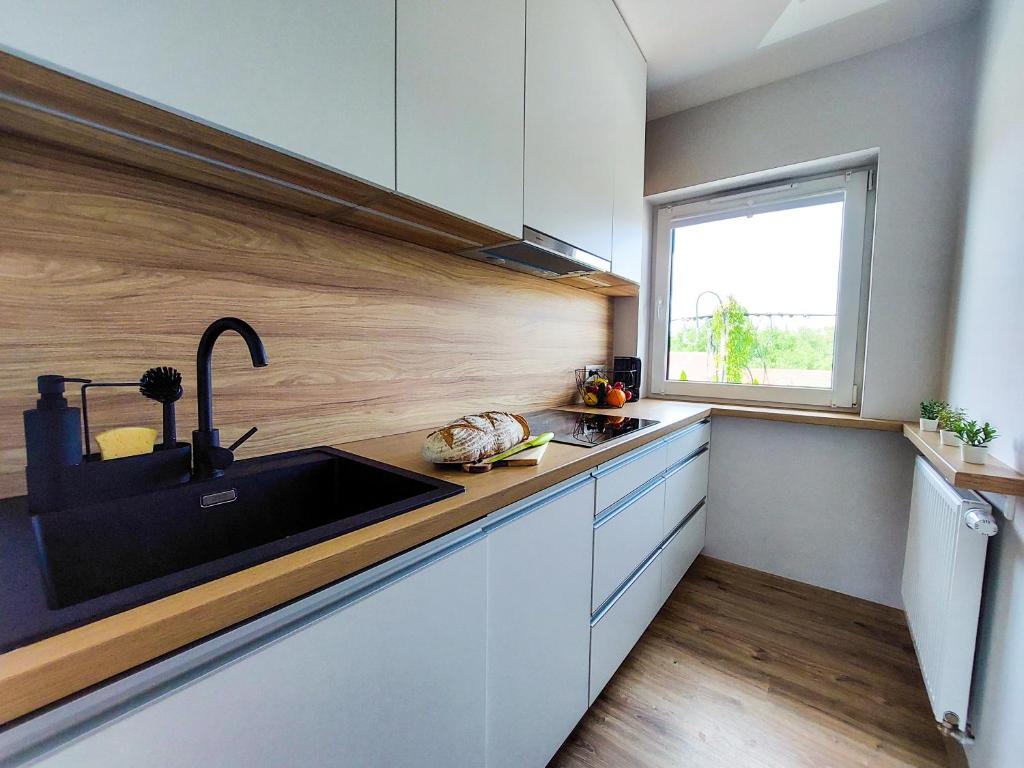 MR HOME APARTMENTS - Limba - 6