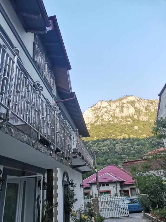 Casa Papava