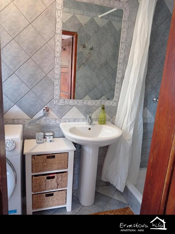 Koupelna v ubytování Apartment Ernestova hiša
