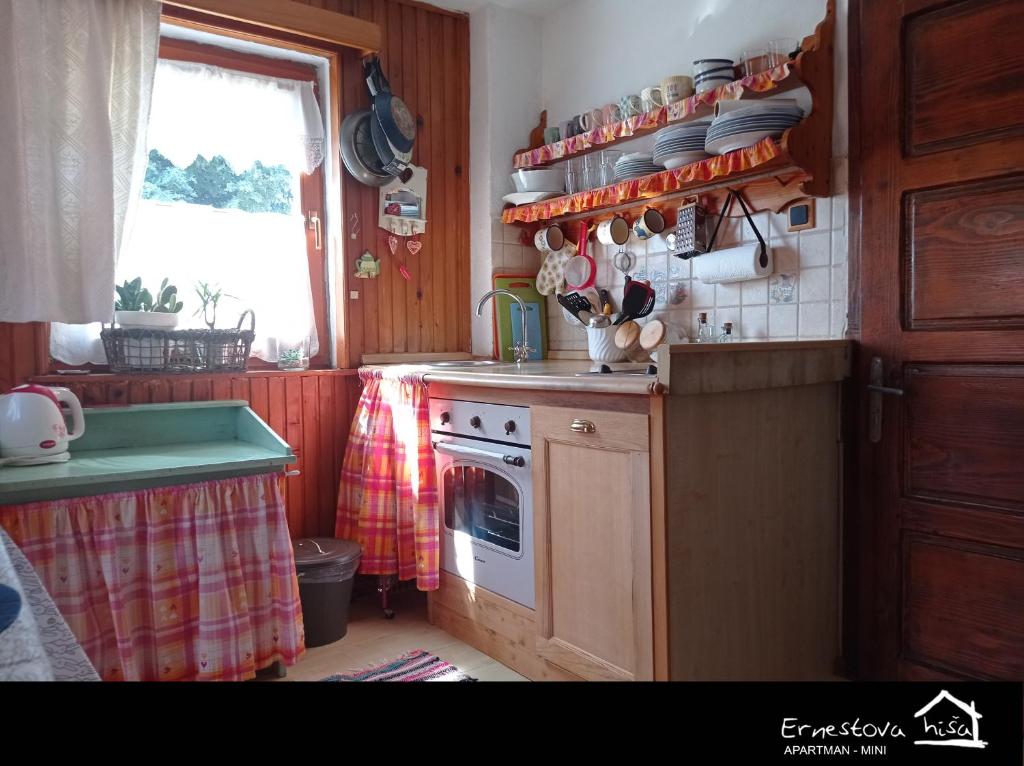 Kuchyň nebo kuchyňský kout v ubytování Apartment Ernestova hiša