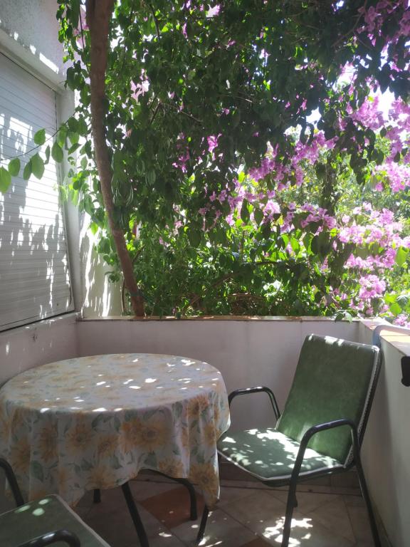 Apartmani Abeona - 13