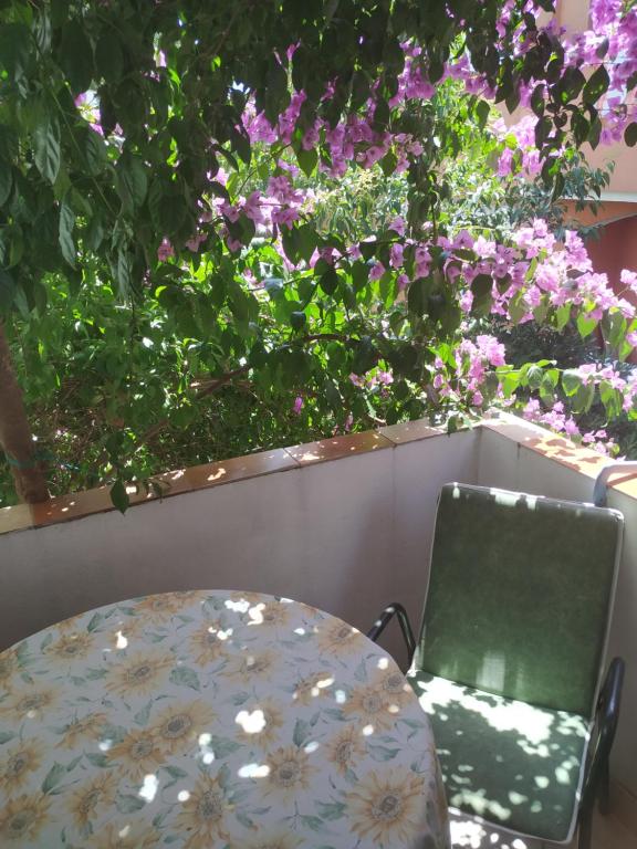 Apartmani Abeona - 14