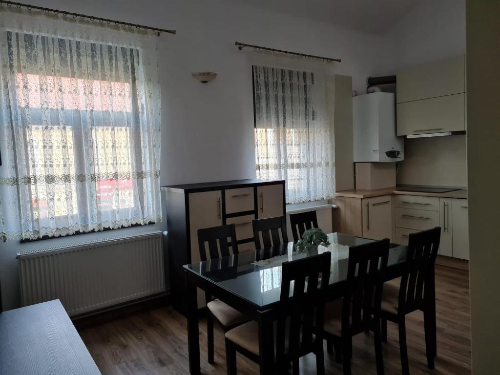 Kuchyň nebo kuchyňský kout v ubytování Apartament La Cetate