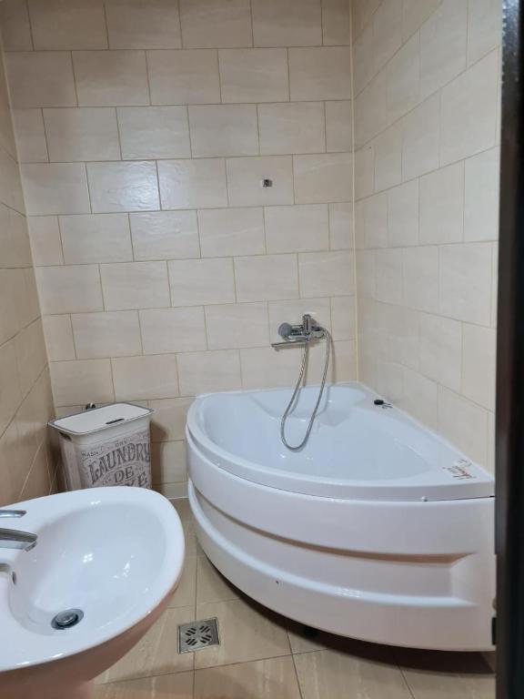 Koupelna v ubytování Apartament La Cetate