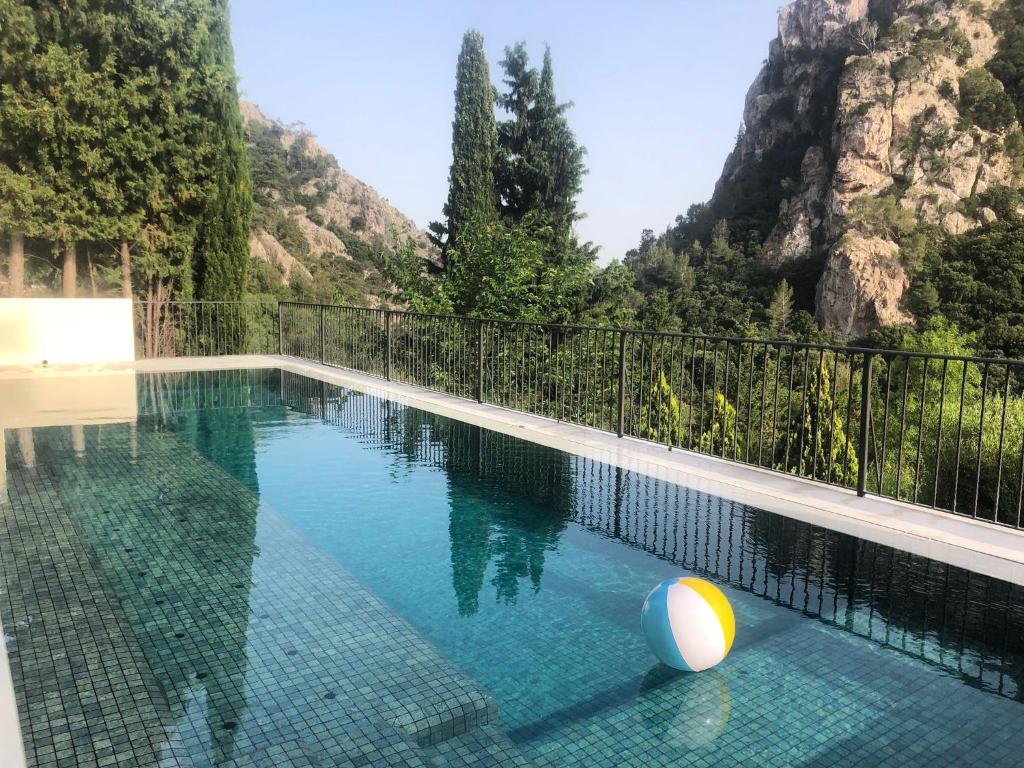 uma piscina com uma bola em frente a uma montanha em Villa Sestret By LeMón Holiday em Valldemossa