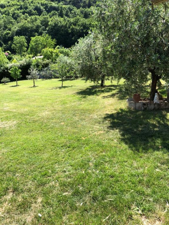 Zahrada ubytování Casa Teodoro - Gelsomino, Ulivi & Orchidea